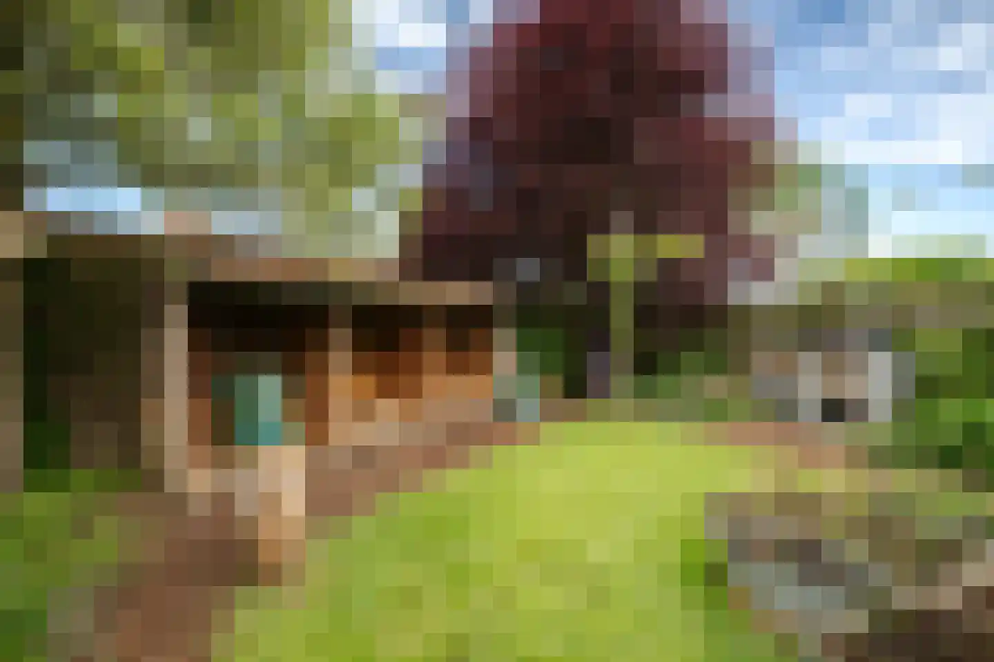 Molenweg 21 A Terwolde thumbnail 37