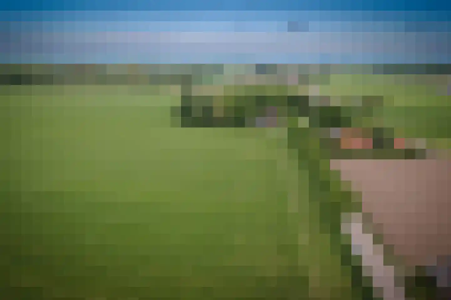 Molenweg 21 A Terwolde thumbnail 42