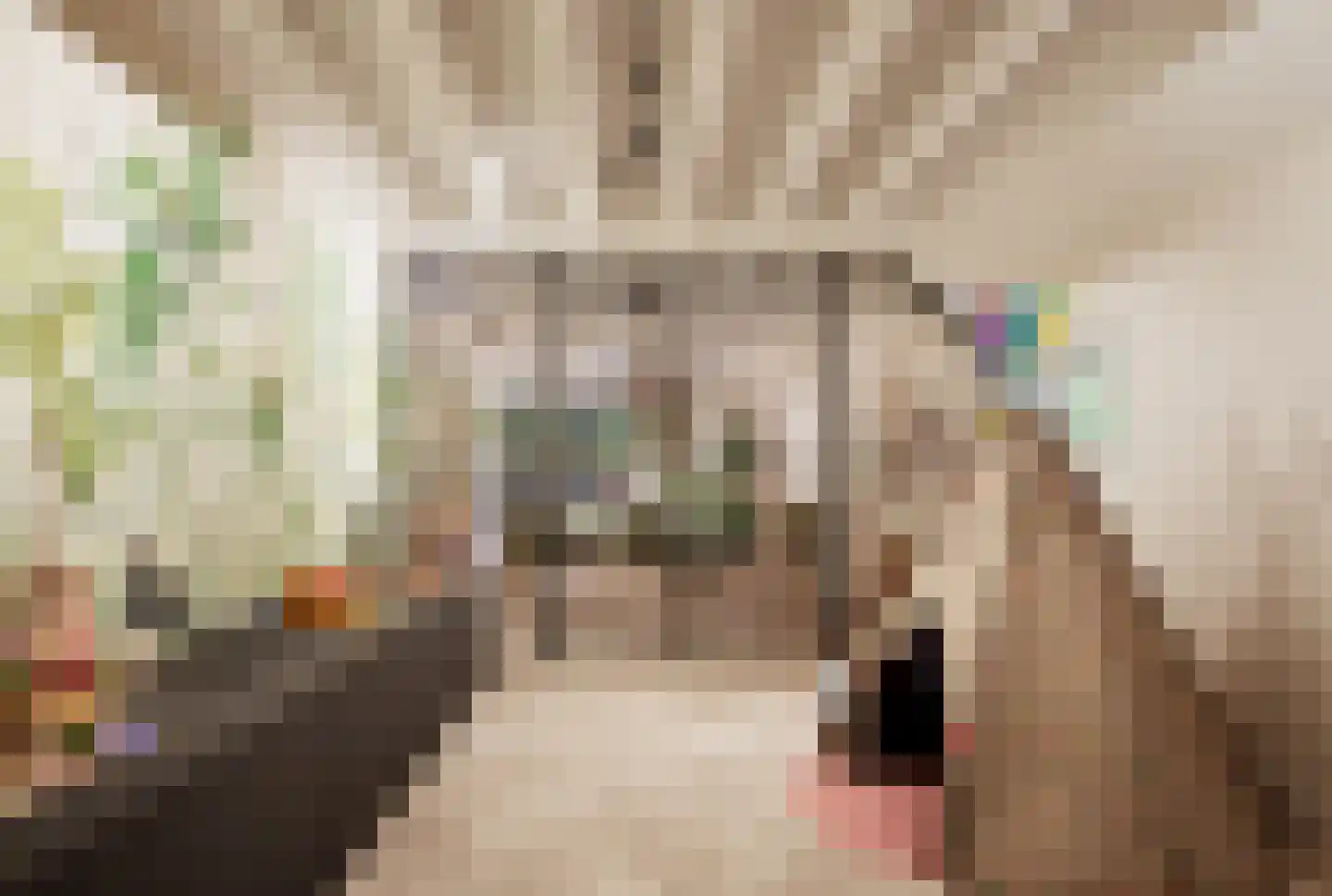 Molenweg 21 B Eemnes thumbnail 15