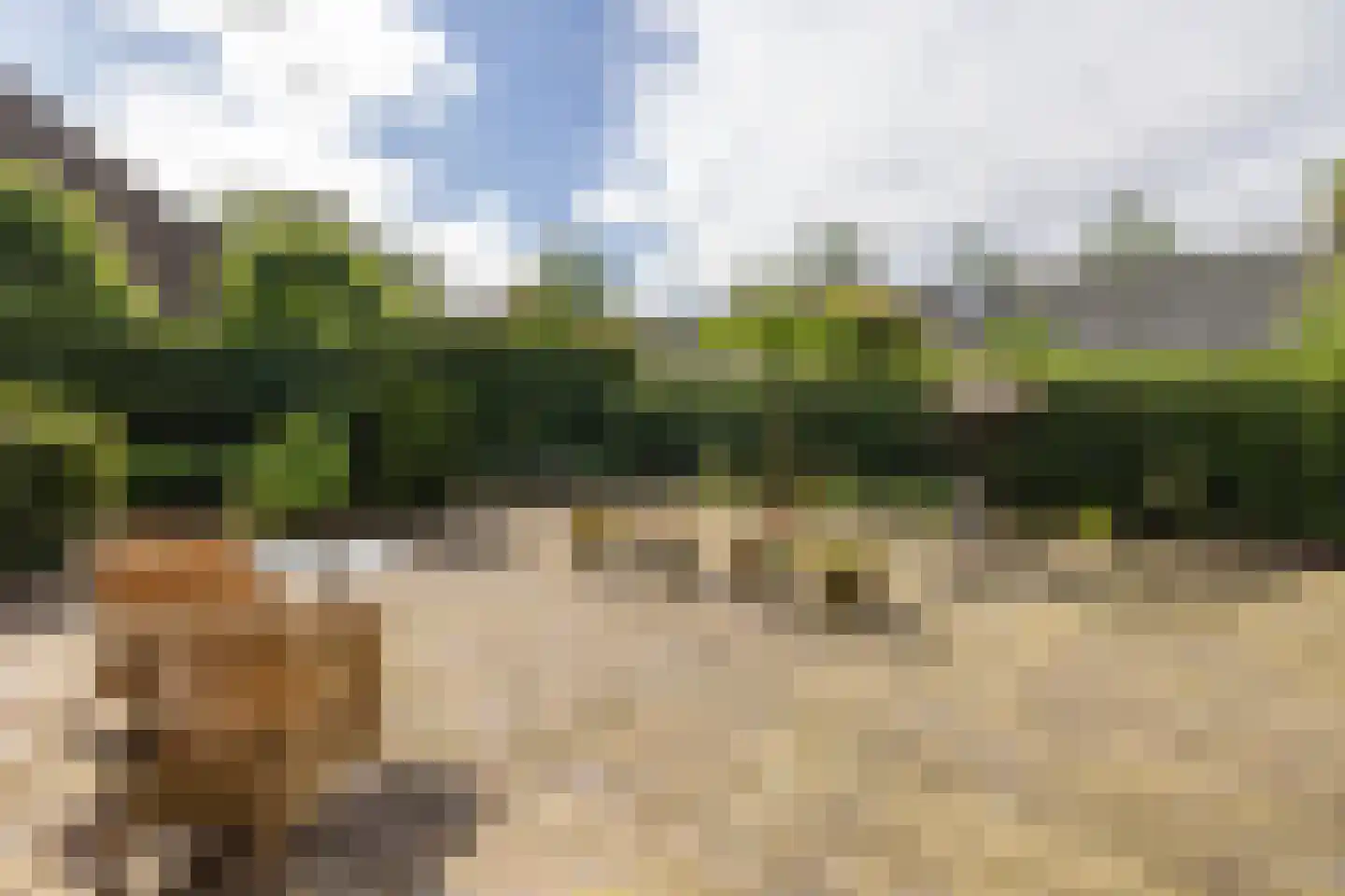 Molenweg 21 B Eemnes thumbnail 34