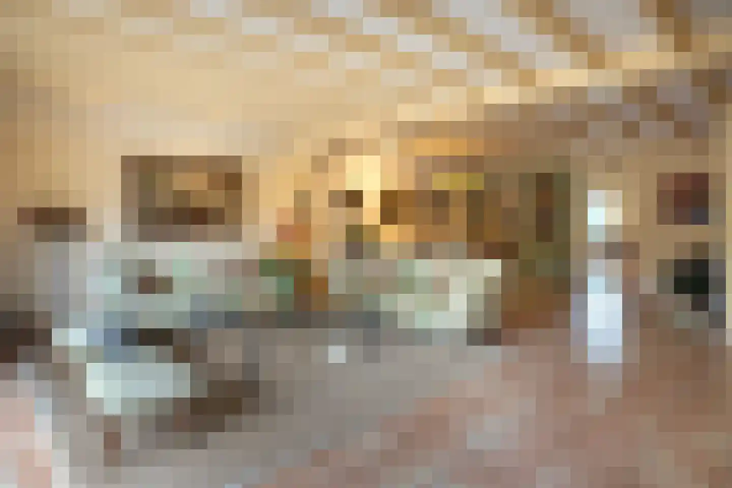 Molenweg 21 B Eemnes thumbnail 5
