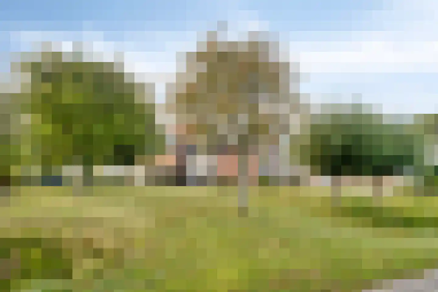 Molenweg 21 Dreischor