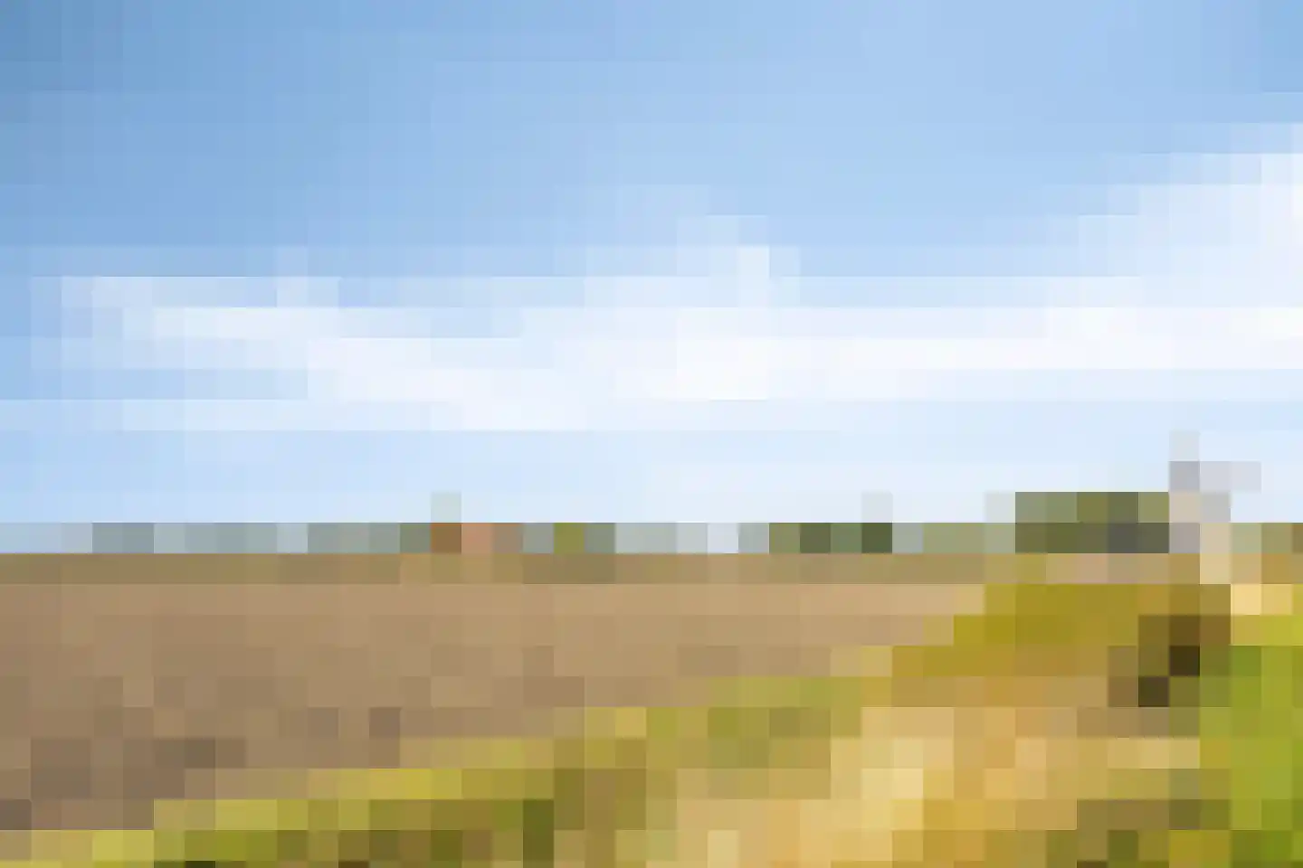 Molenweg 21 Dreischor thumbnail 20