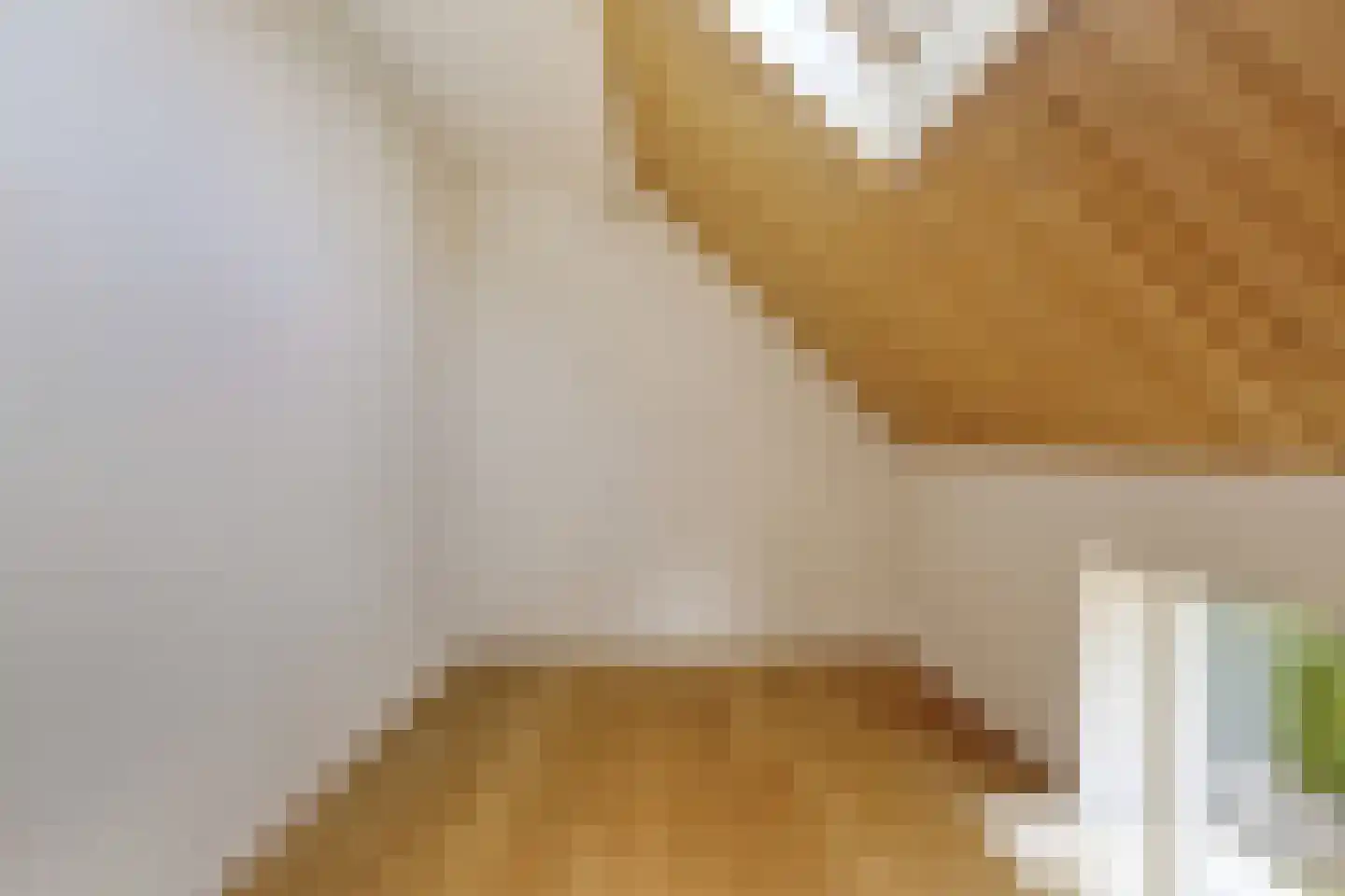 Molenweg 21 Dreischor thumbnail 21