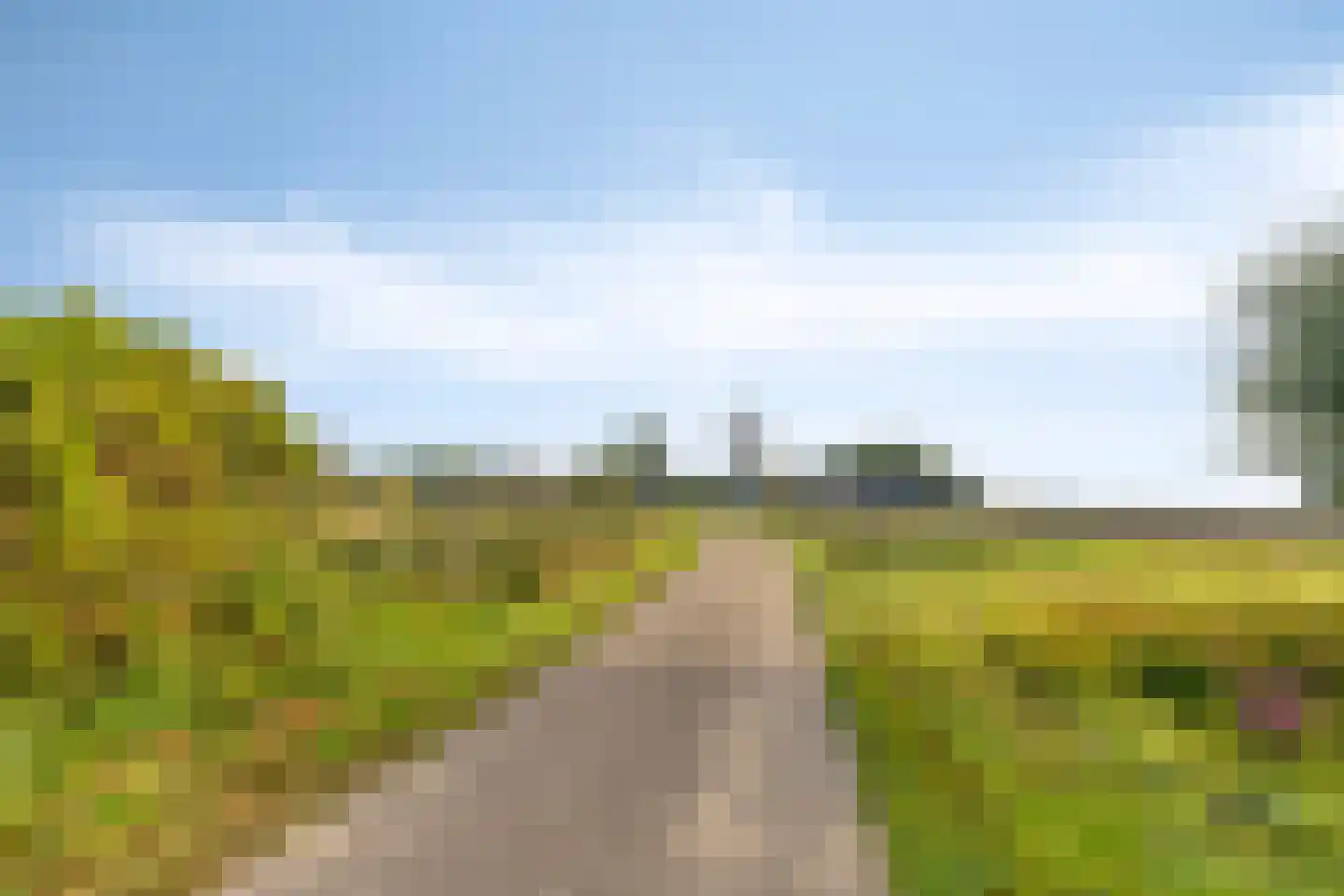 Molenweg 21 Dreischor thumbnail 23