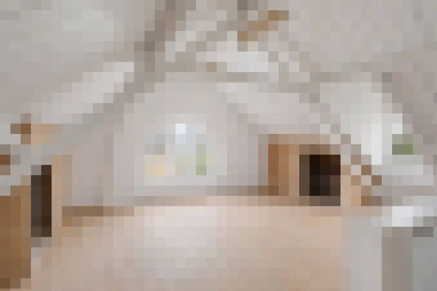 Molenweg 21 Dreischor thumbnail 31