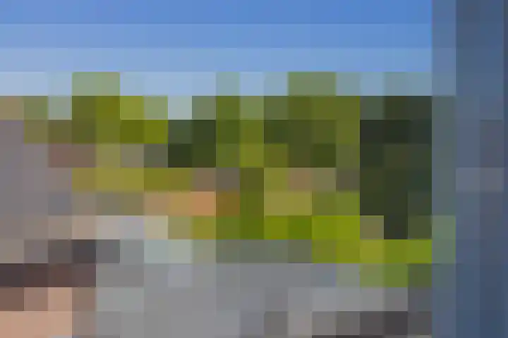 Molenweg 21 Limmen thumbnail 60
