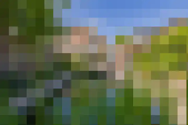 Molenweg 21 Limmen thumbnail 78