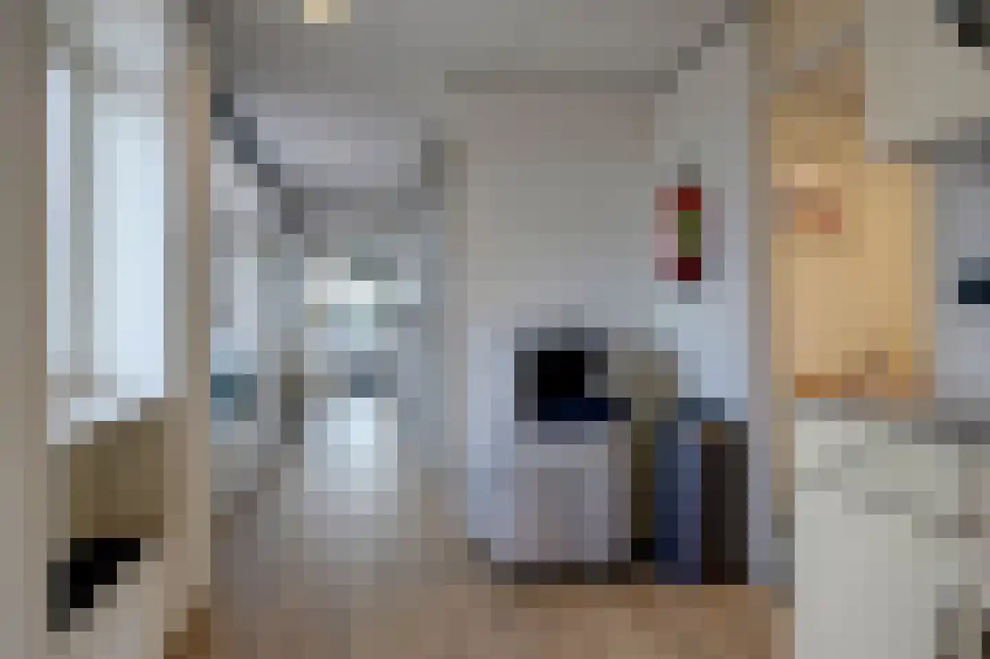 Molenweg 22 Bedum thumbnail 31