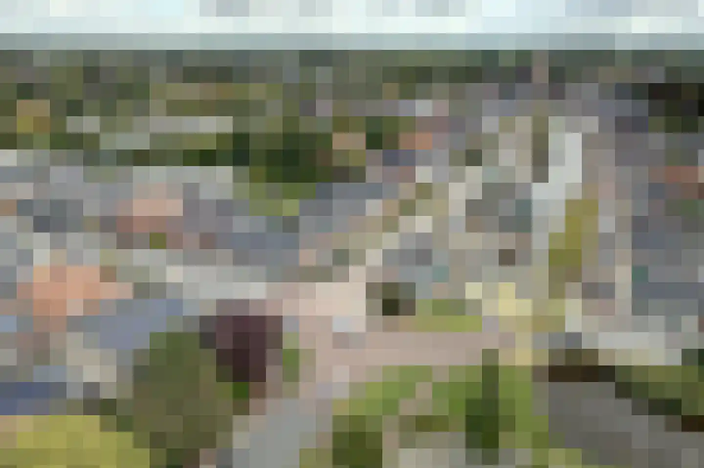 Molenweg 22 Bedum thumbnail 6