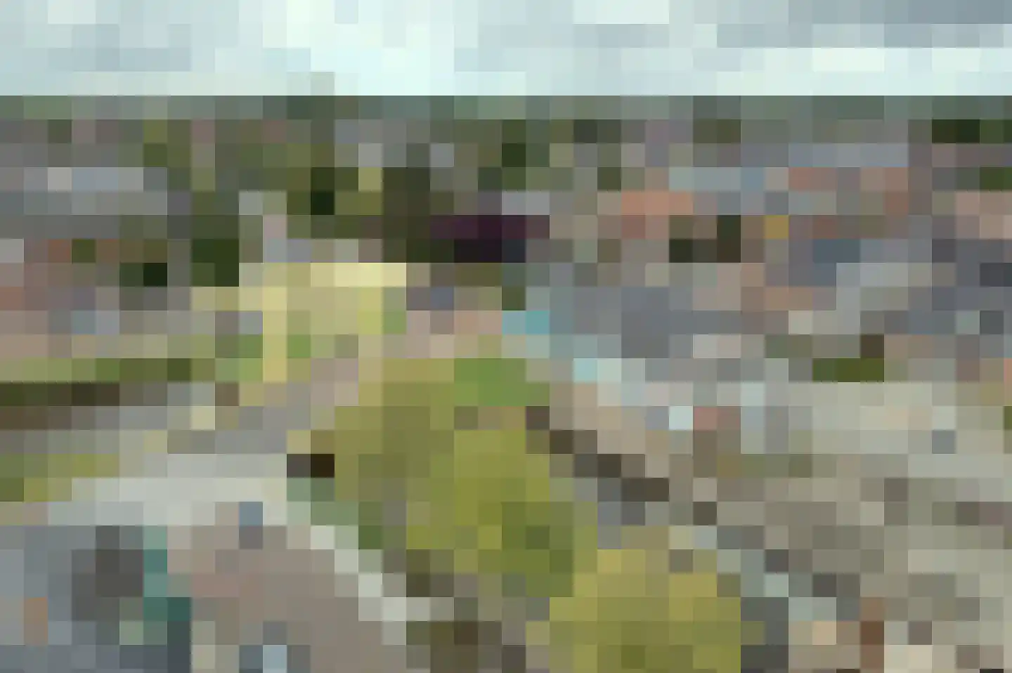Molenweg 22 Bedum thumbnail 8