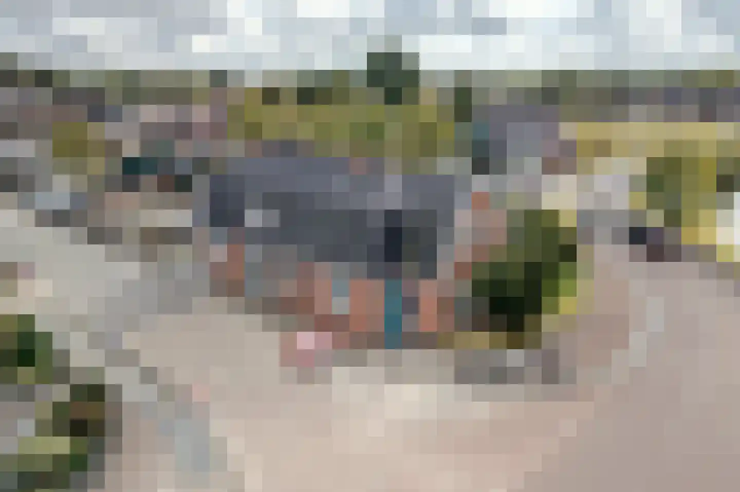 Molenweg 22 Bedum thumbnail 9