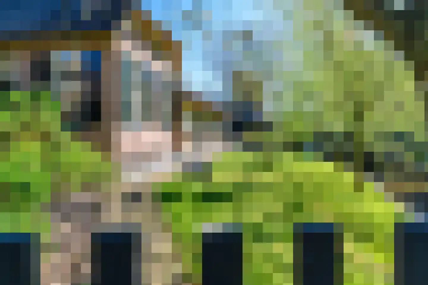 Molenweg 22 Giethoorn thumbnail 50