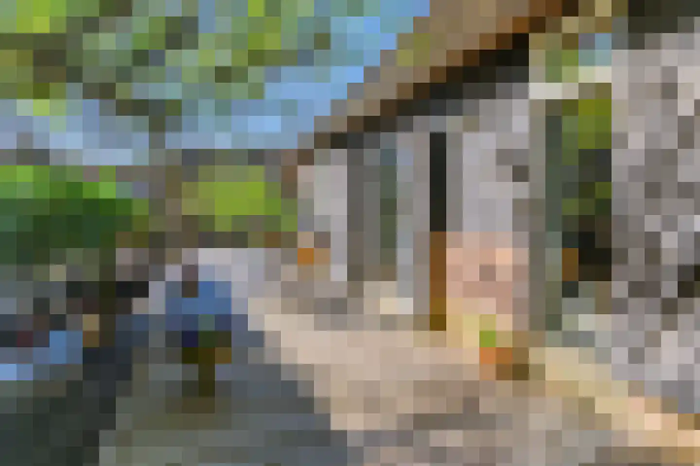 Molenweg 22 Giethoorn thumbnail 55