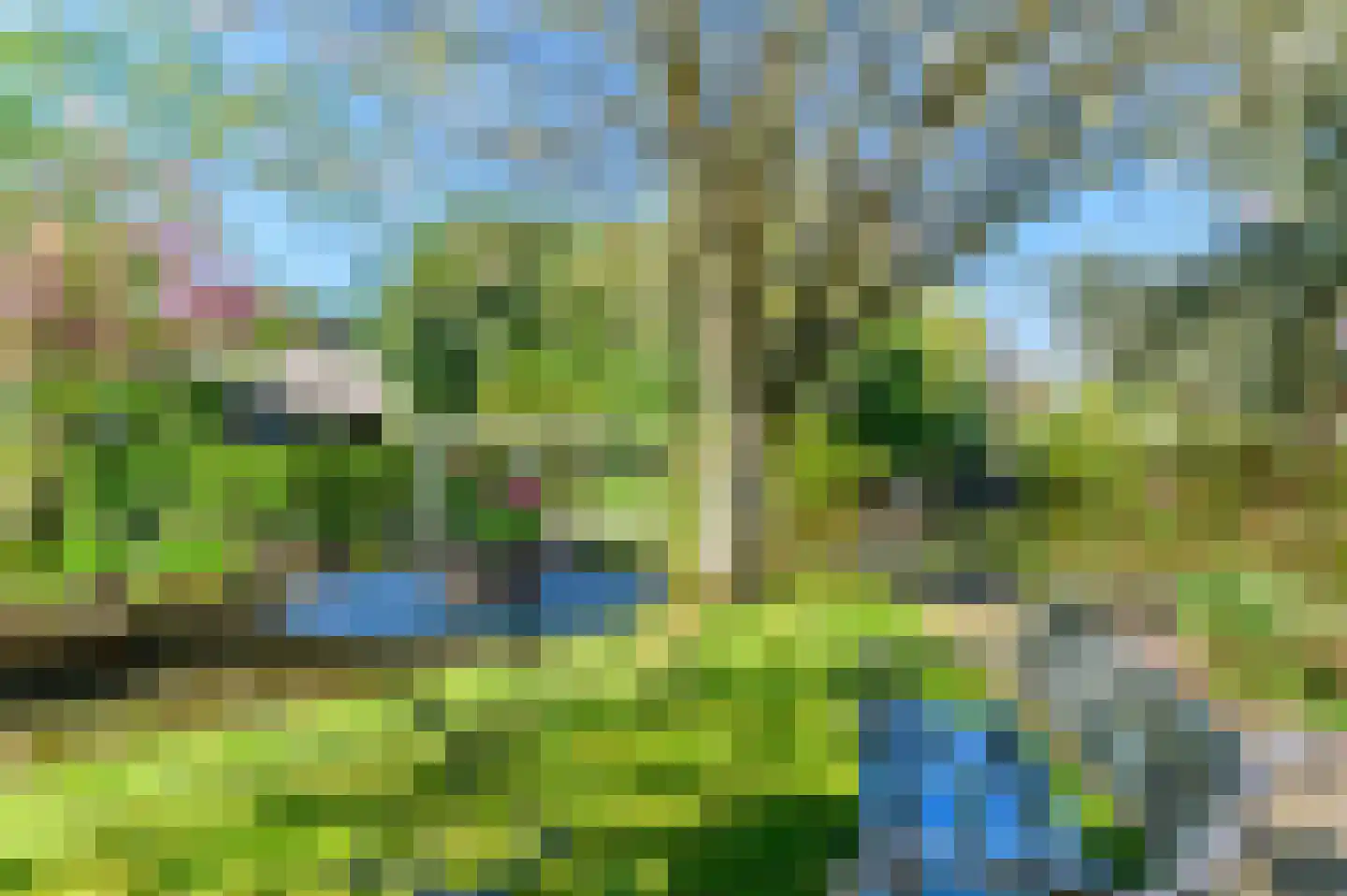 Molenweg 22 Giethoorn thumbnail 59