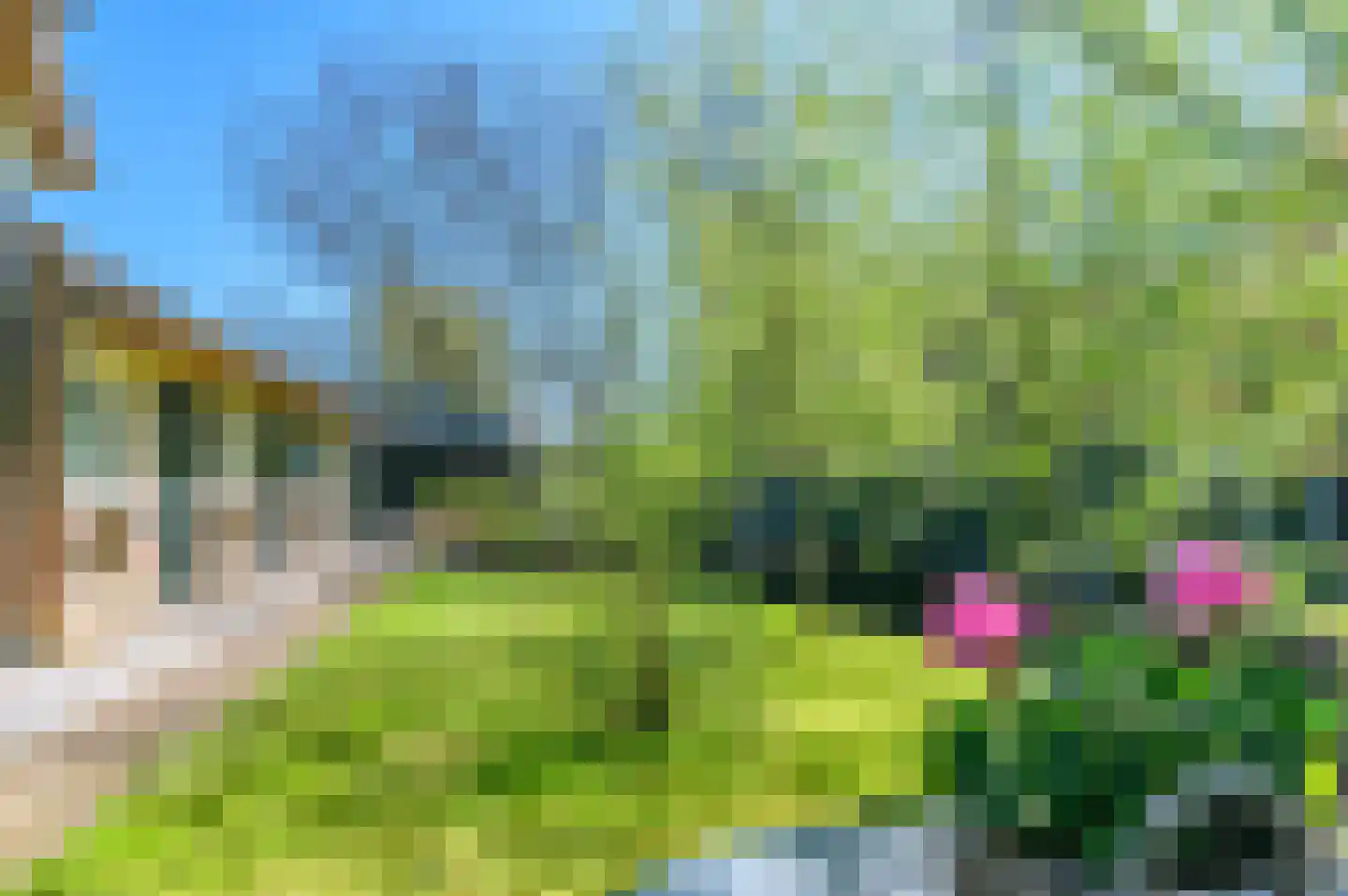 Molenweg 22 Giethoorn thumbnail 60