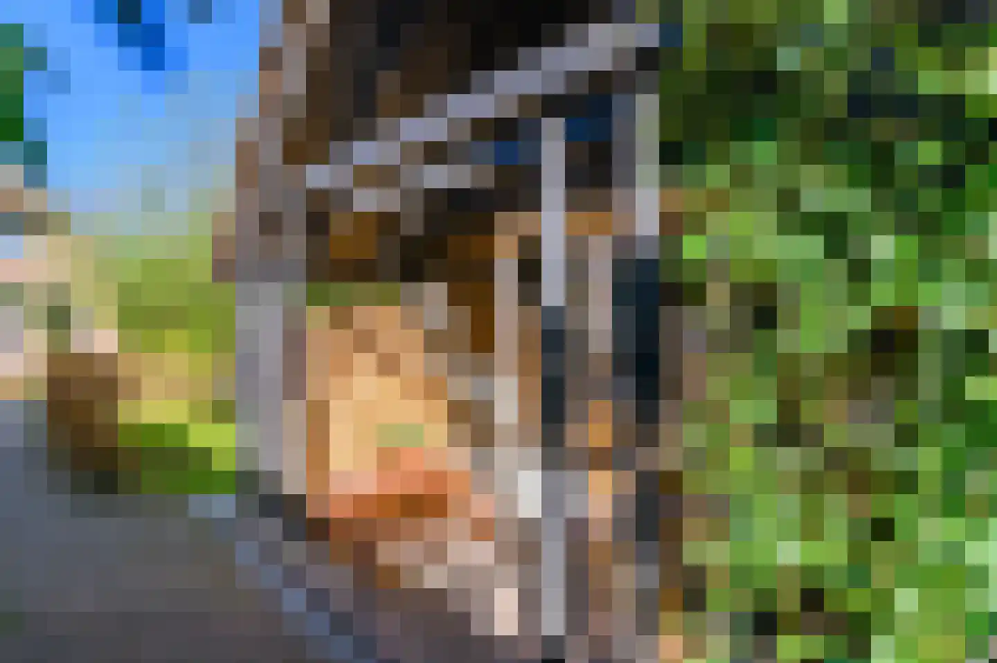 Molenweg 22 Giethoorn thumbnail 64