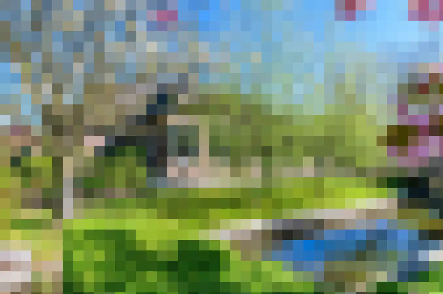 Molenweg 22 Giethoorn thumbnail 65