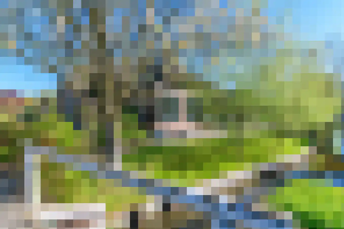 Molenweg 22 Giethoorn thumbnail 66