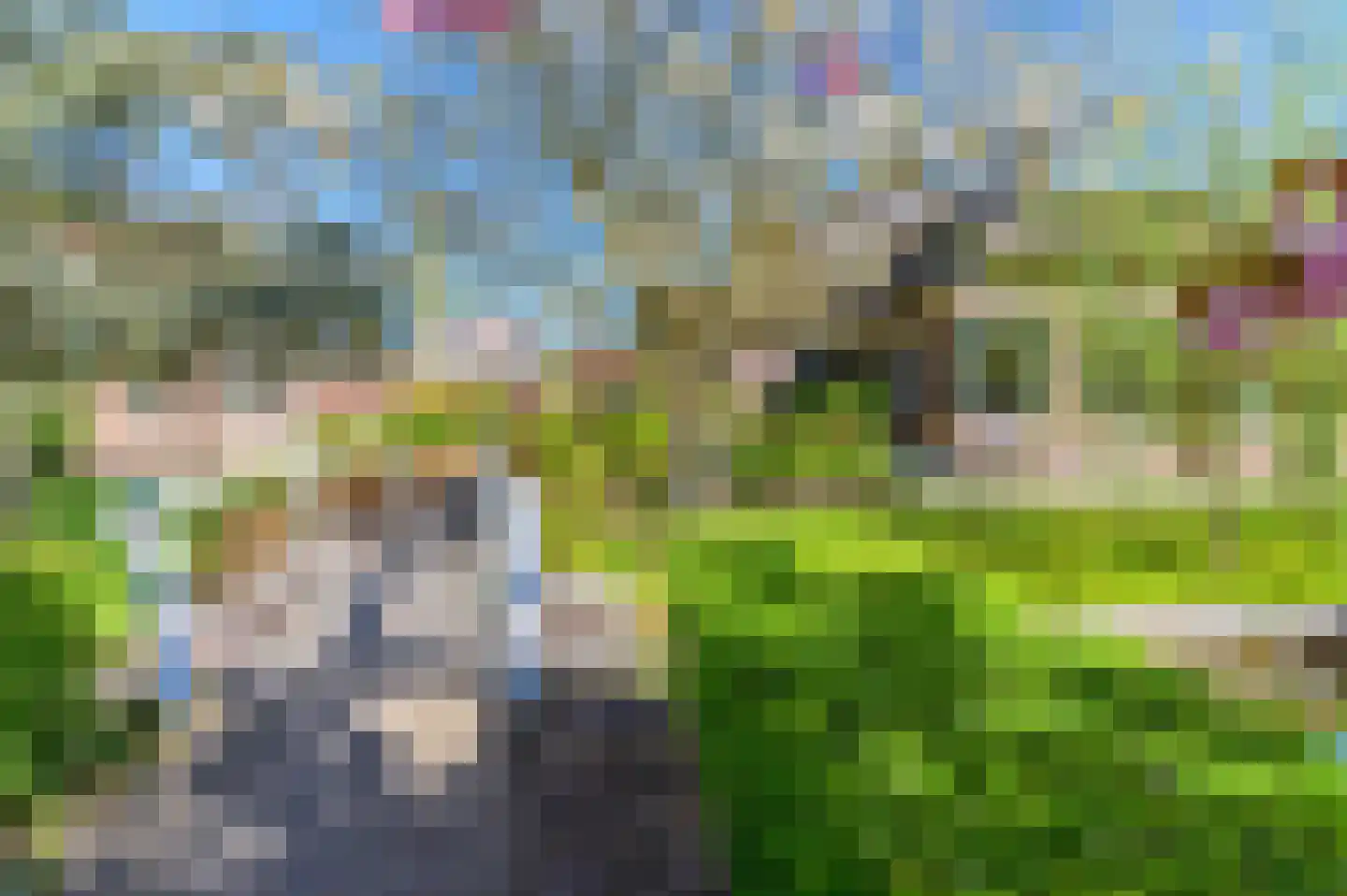 Molenweg 22 Giethoorn thumbnail 67