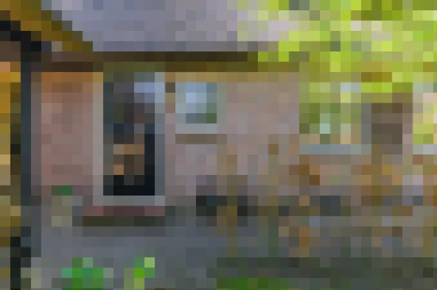 Molenweg 22 Giethoorn thumbnail 7