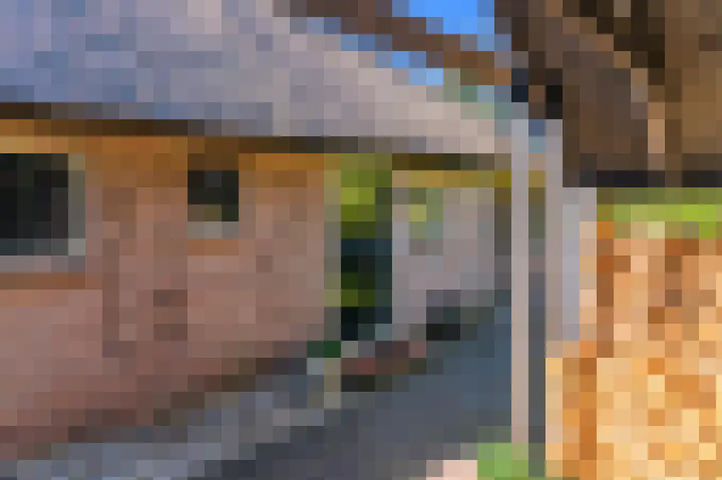 Molenweg 22 Giethoorn thumbnail 8