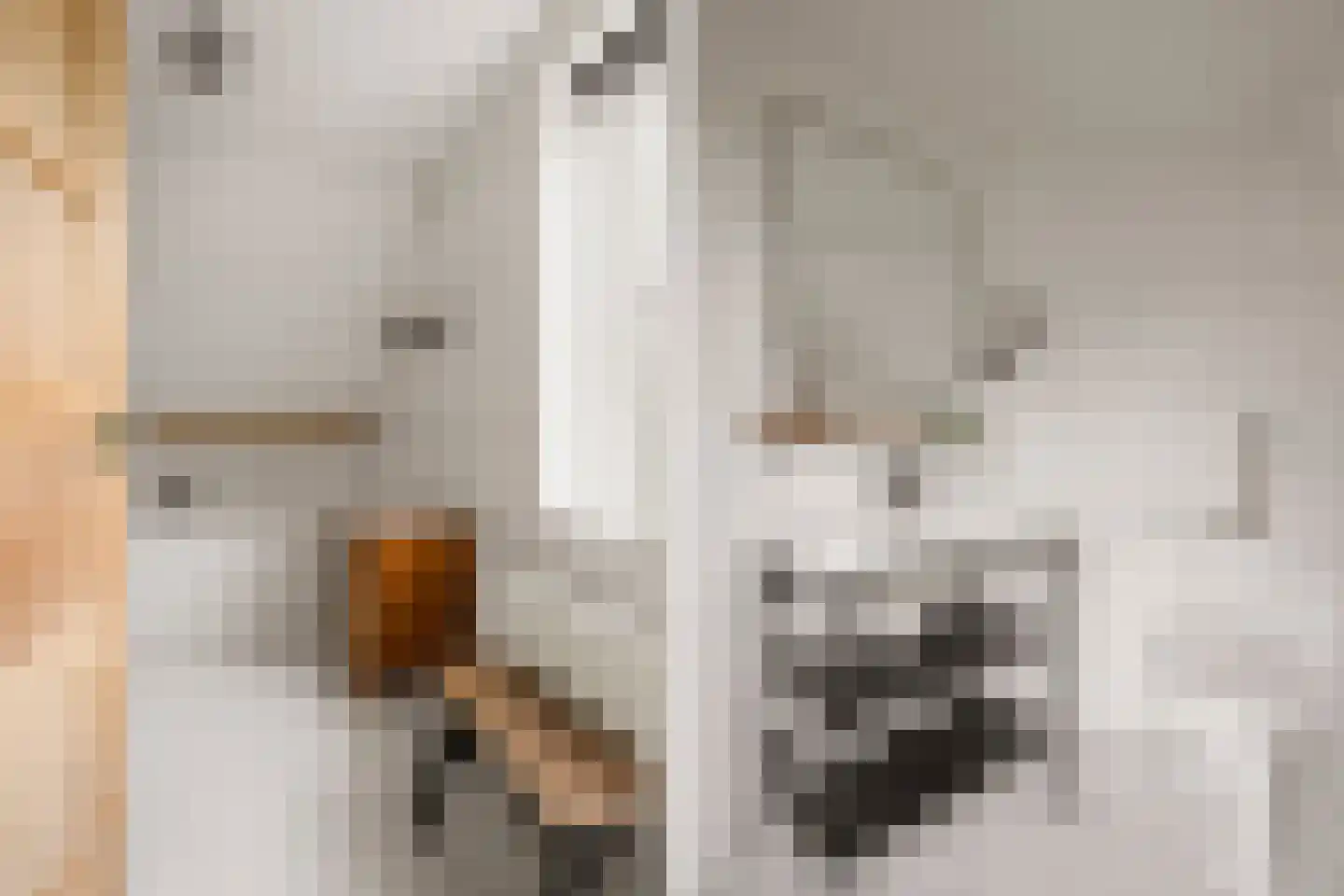 Molenweg 22 Maartensdijk thumbnail 18