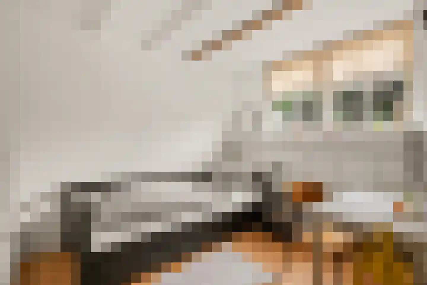 Molenweg 22 Maartensdijk thumbnail 20