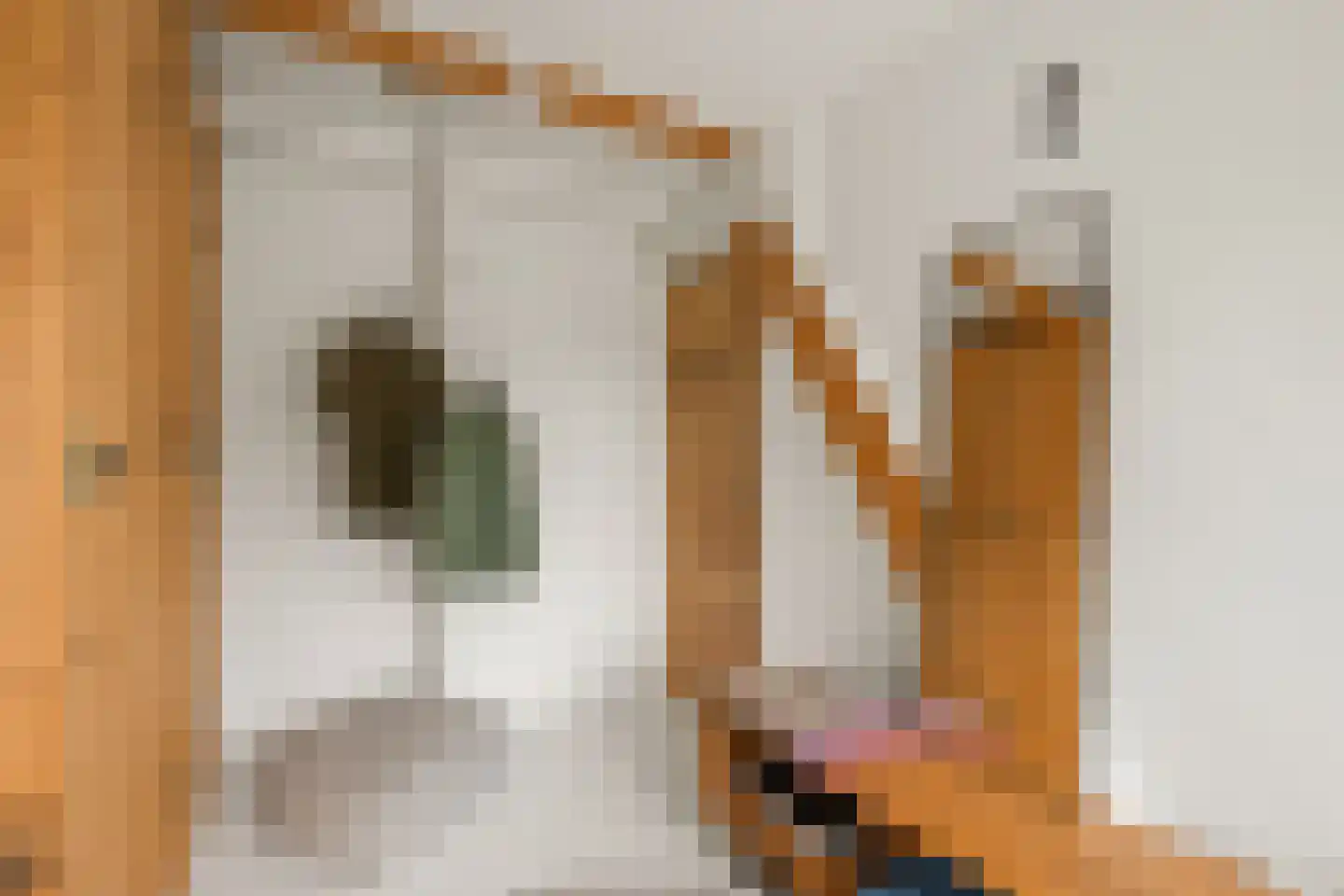 Molenweg 22 Maartensdijk thumbnail 21