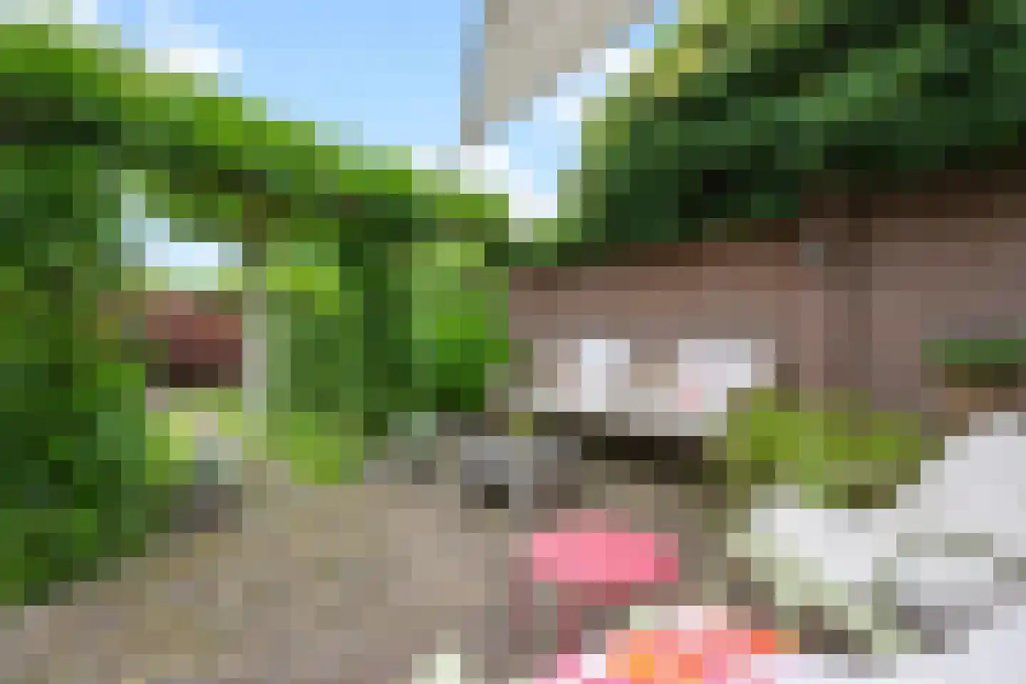 Molenweg 22 Maartensdijk thumbnail 28