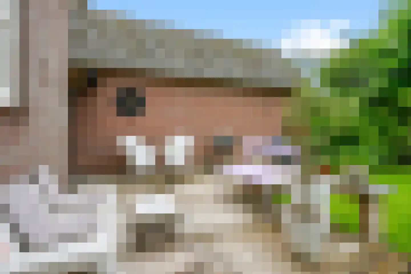 Molenweg 22 Maartensdijk thumbnail 30