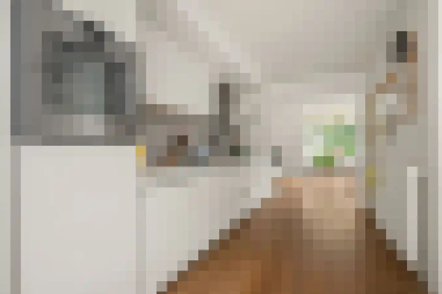 Molenweg 22 Maartensdijk thumbnail 5