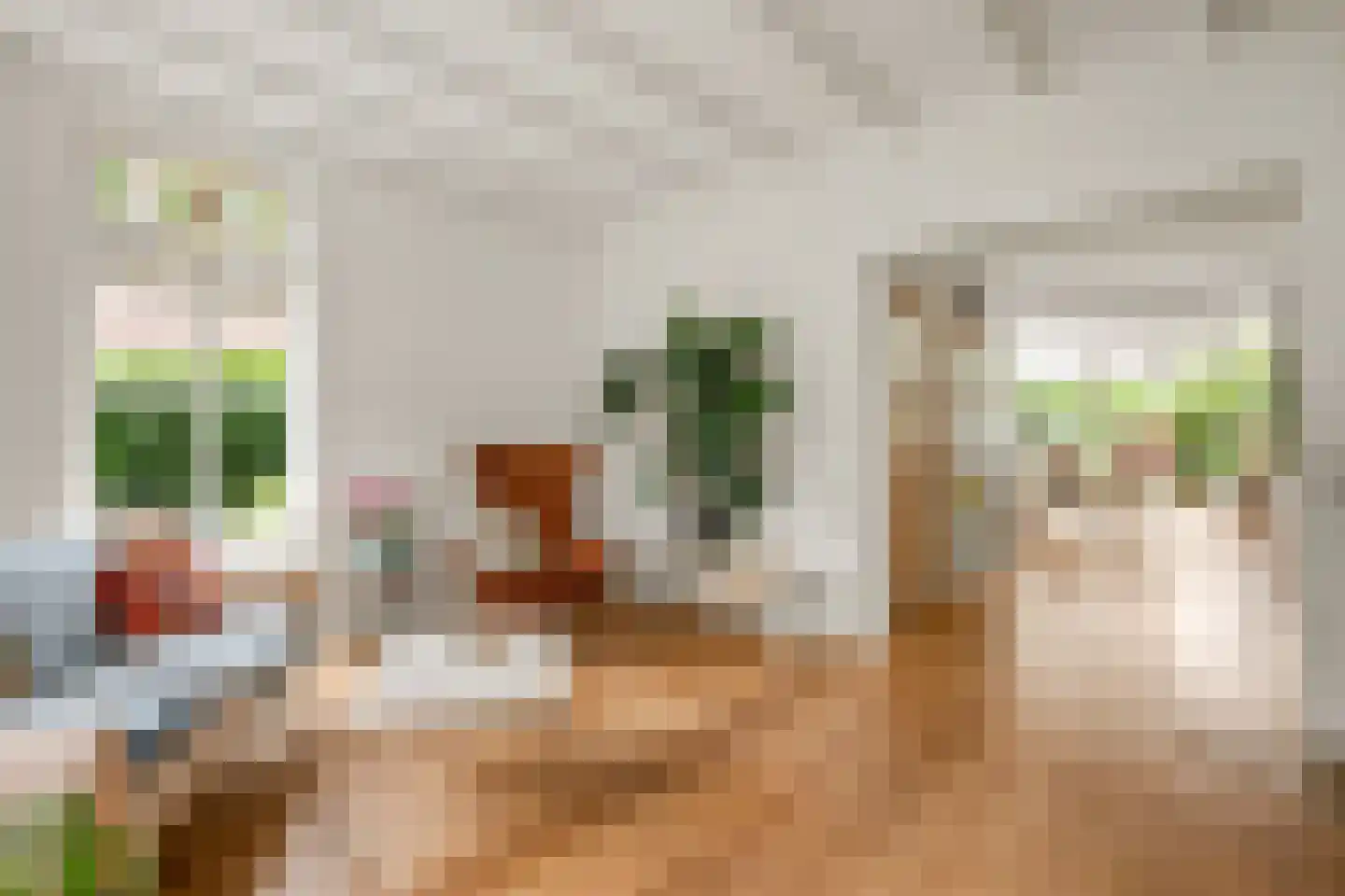 Molenweg 22 Maartensdijk thumbnail 7