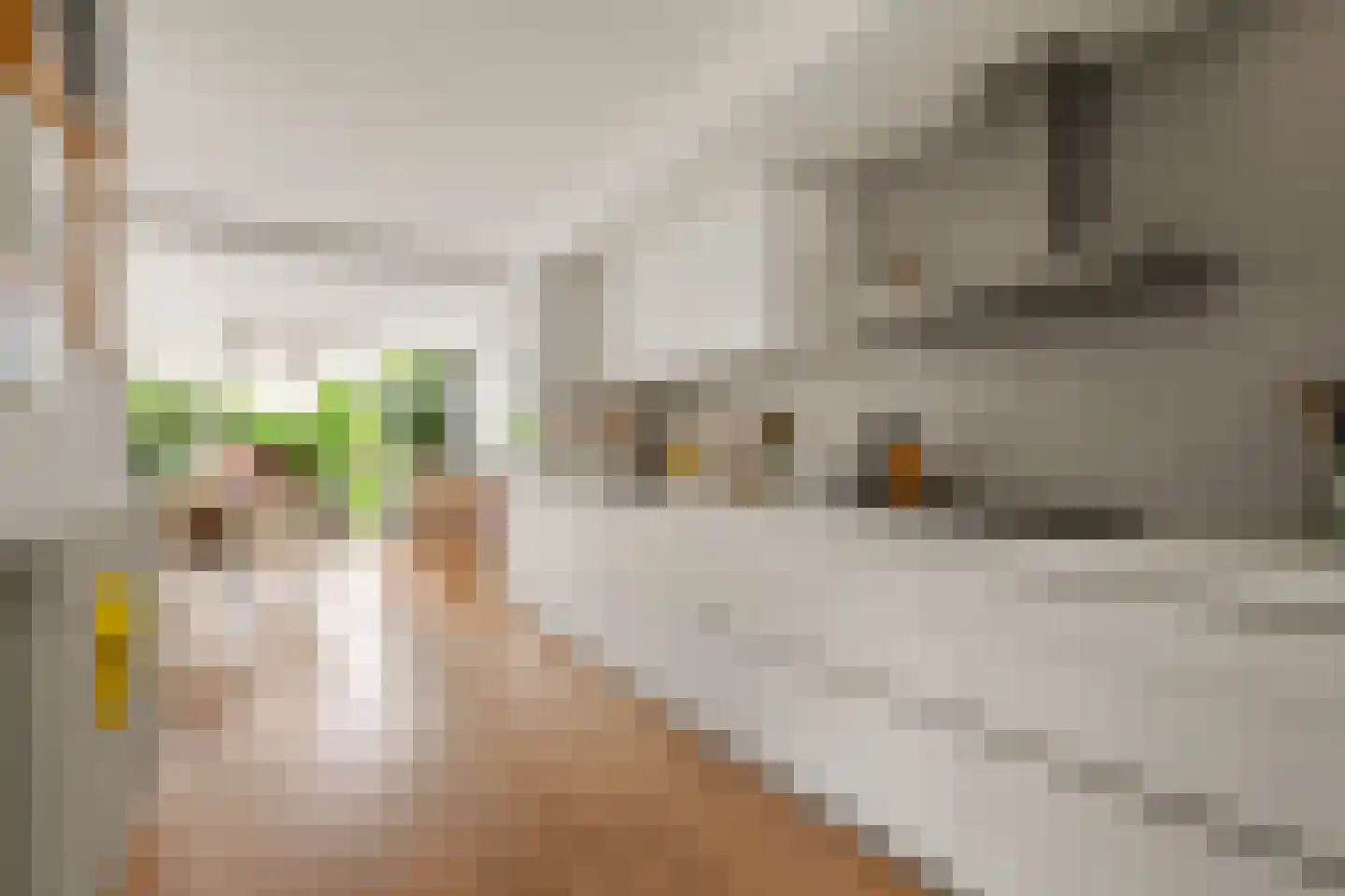 Molenweg 22 Maartensdijk thumbnail 9