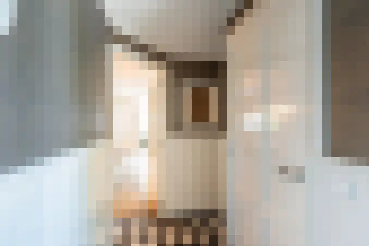 Molenweg 22 Scherpenisse thumbnail 10