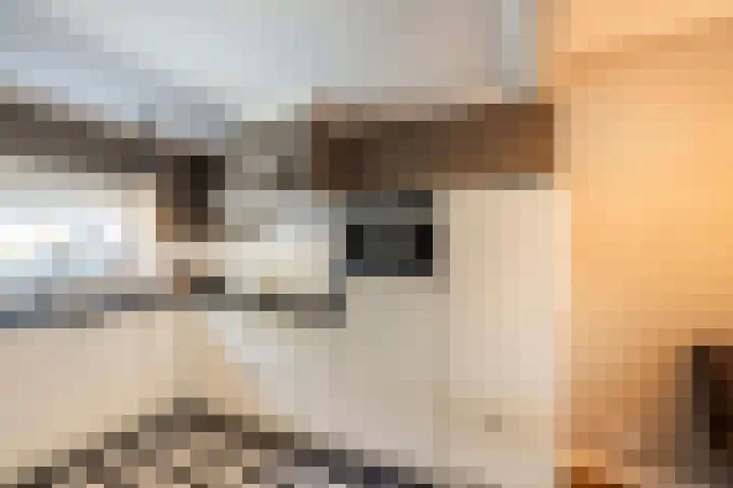 Molenweg 22 Scherpenisse thumbnail 12