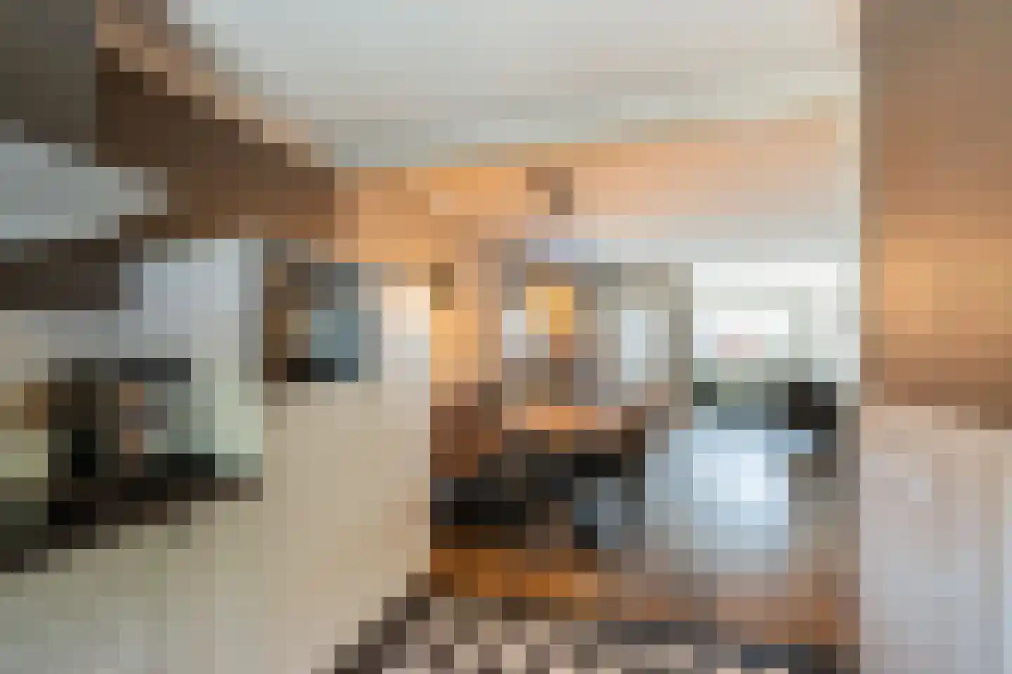 Molenweg 22 Scherpenisse thumbnail 13
