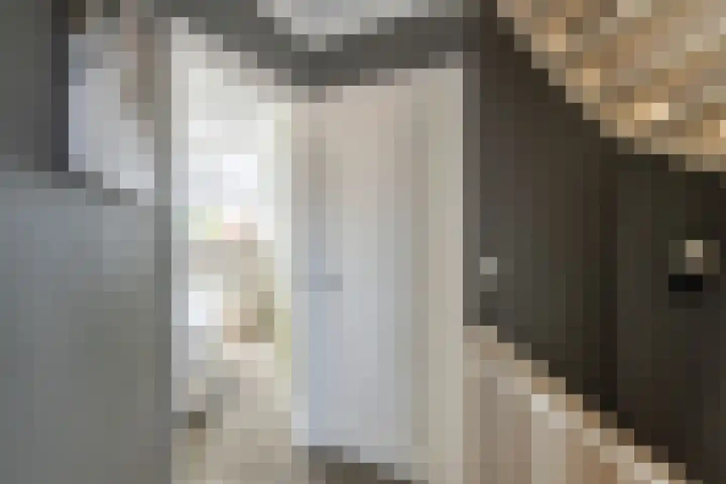 Molenweg 22 Scherpenisse thumbnail 21