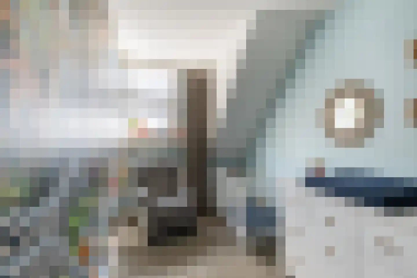Molenweg 22 Scherpenisse thumbnail 24