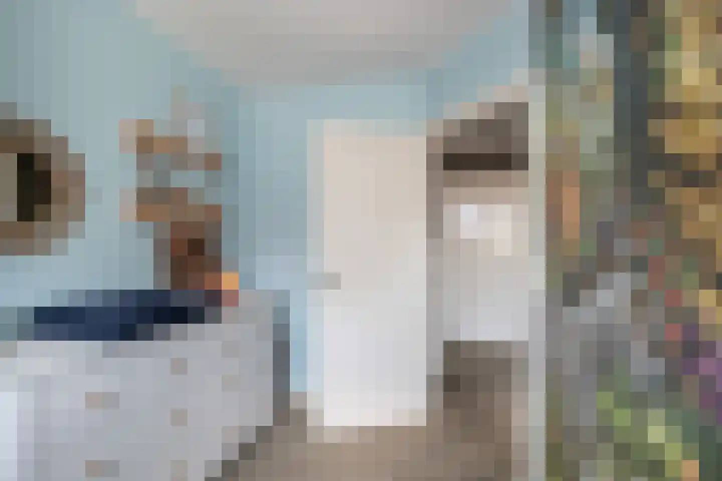 Molenweg 22 Scherpenisse thumbnail 25