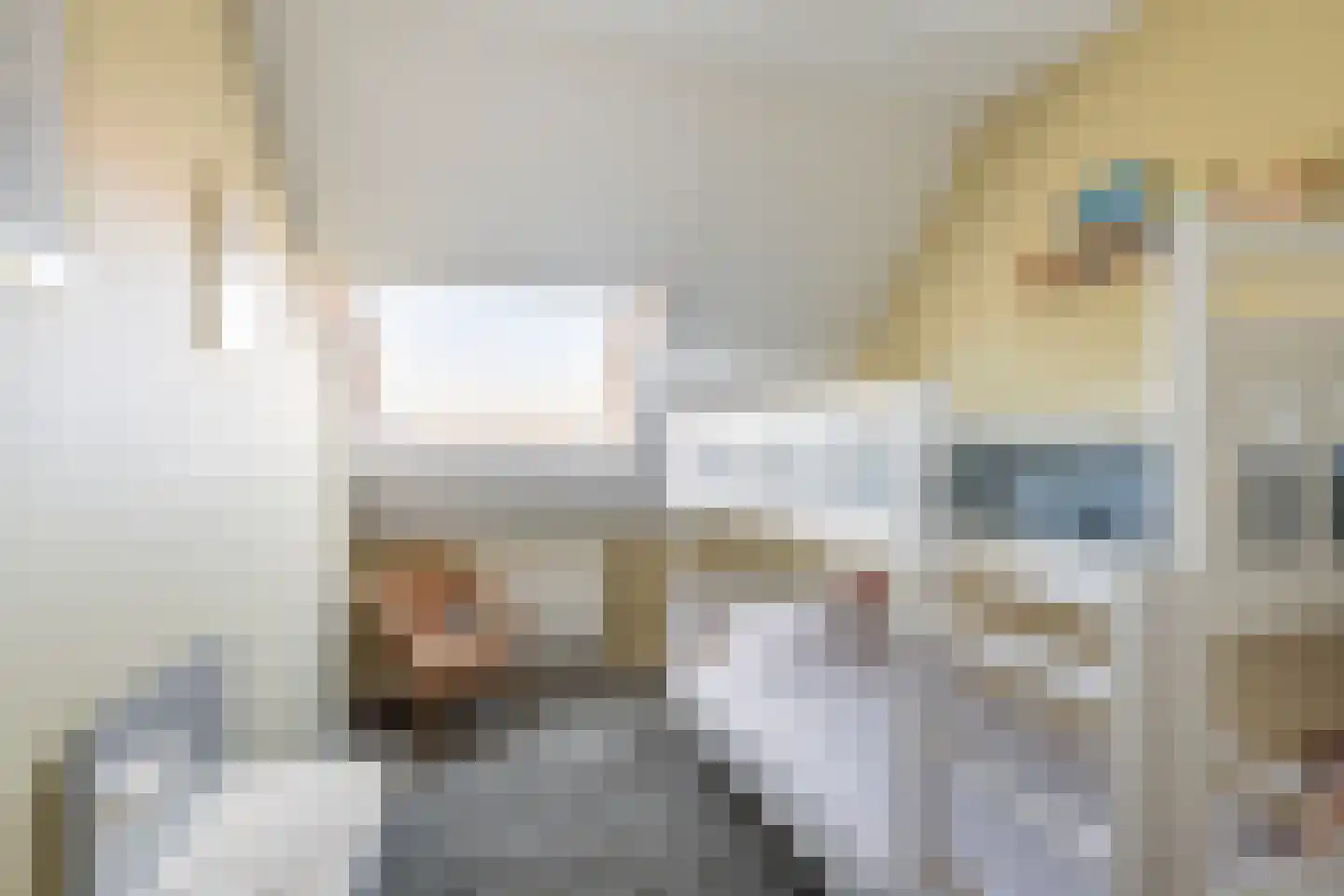 Molenweg 22 Scherpenisse thumbnail 26