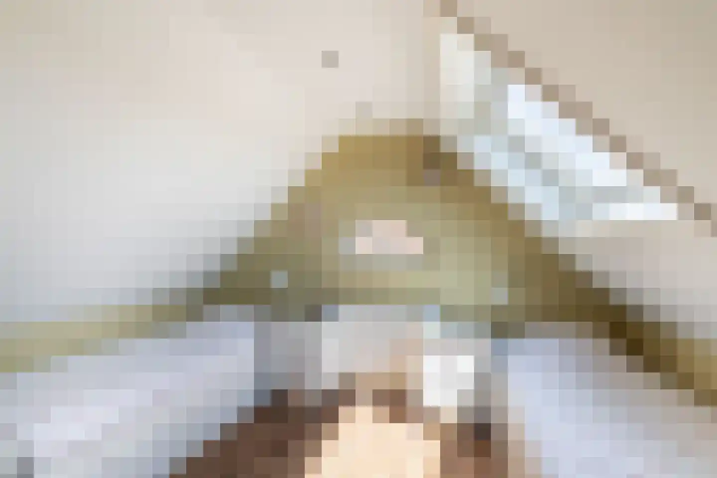 Molenweg 22 Scherpenisse thumbnail 31