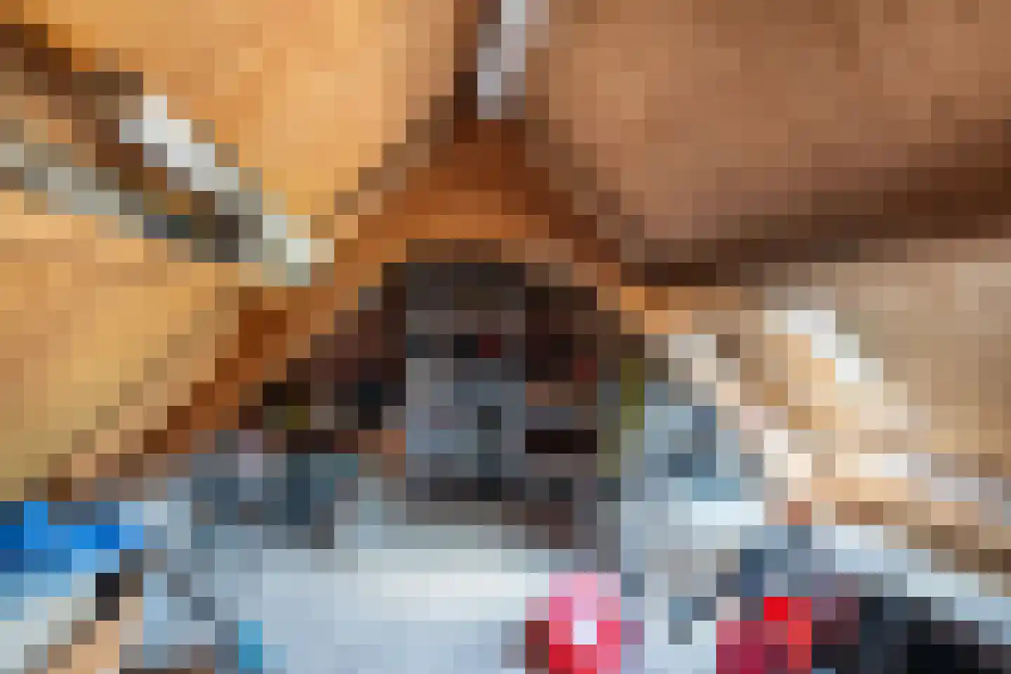 Molenweg 22 Scherpenisse thumbnail 39