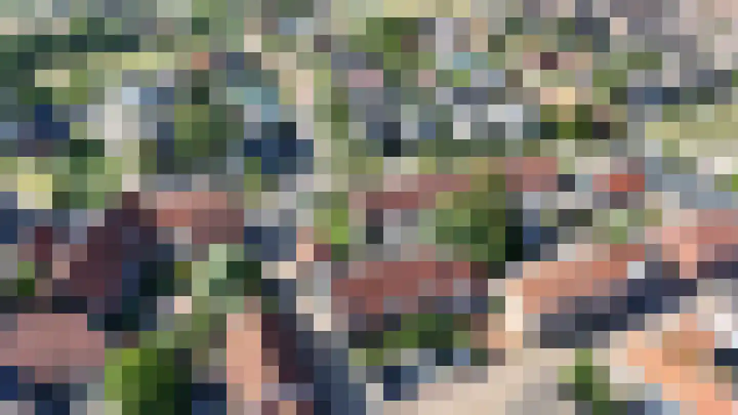 Molenweg 22 Scherpenisse thumbnail 40