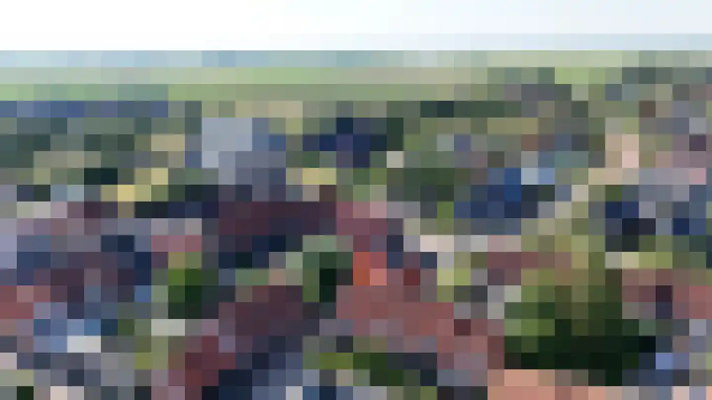 Molenweg 22 Scherpenisse thumbnail 6