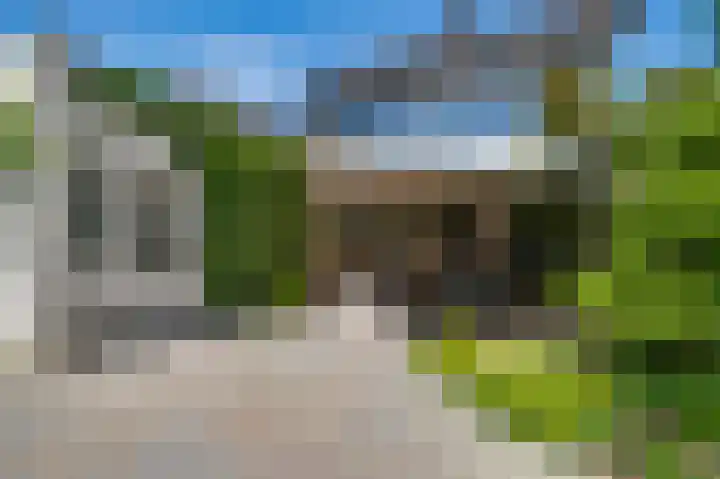 Molenweg 22 Sint Odiliënberg thumbnail 34