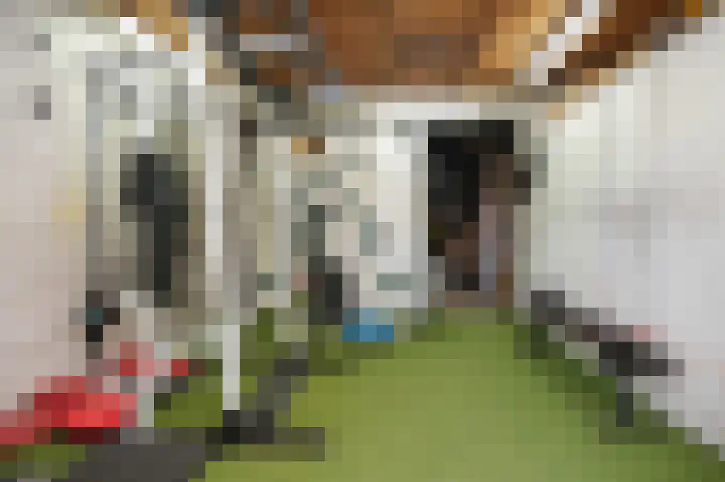 Molenweg 22 Zegveld thumbnail 26