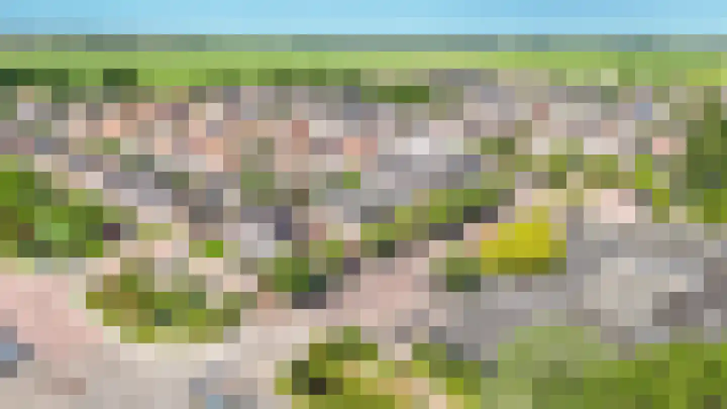 Molenweg 22 Zegveld thumbnail 30