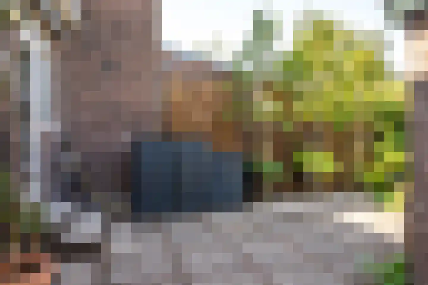 Molenweg 220 Nijmegen thumbnail 37