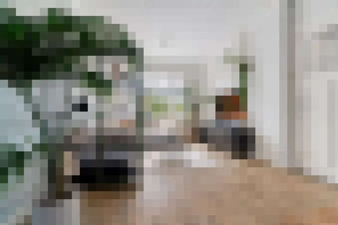 Molenweg 226 Nijmegen thumbnail 12